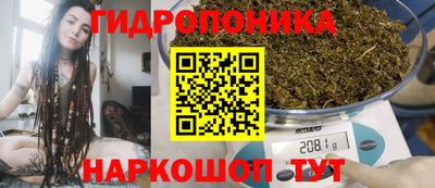 a pvp Обь