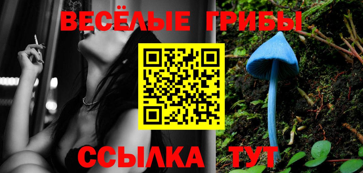 продажа наркотиков  Псилоцибиновые грибы Psilocybine cubensis  Псилоцибиновые грибы MAGIC MUSHROOMS  Вход с VPN  Ахтубинск 