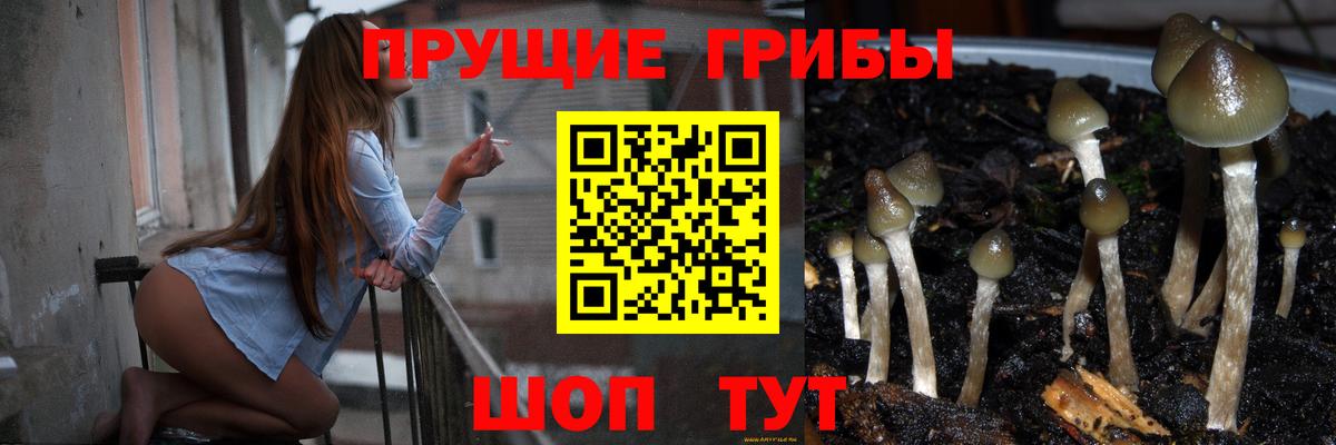 Галлюциногенные грибы мицелий Ахтубинск
